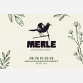 MERLE ENVIRONNEMENT